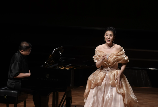 提供声乐演唱艺术指导服务 提供声乐演唱艺术指导服务