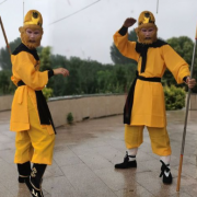 提供舞台表演服装道具设计与制作服务
