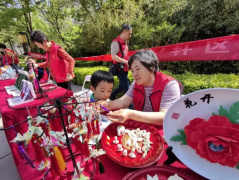 提供社区文化活动策划服务